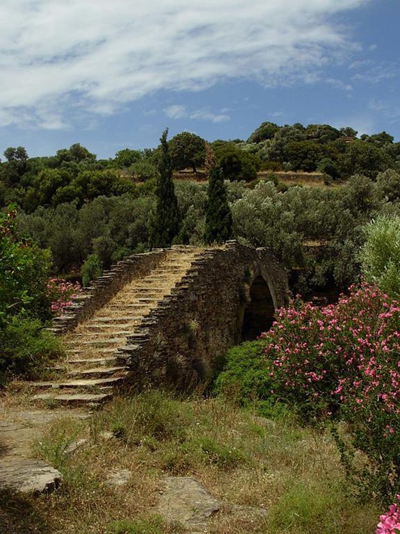 Andros Maisonettes Áyios Pétros エクステリア 写真